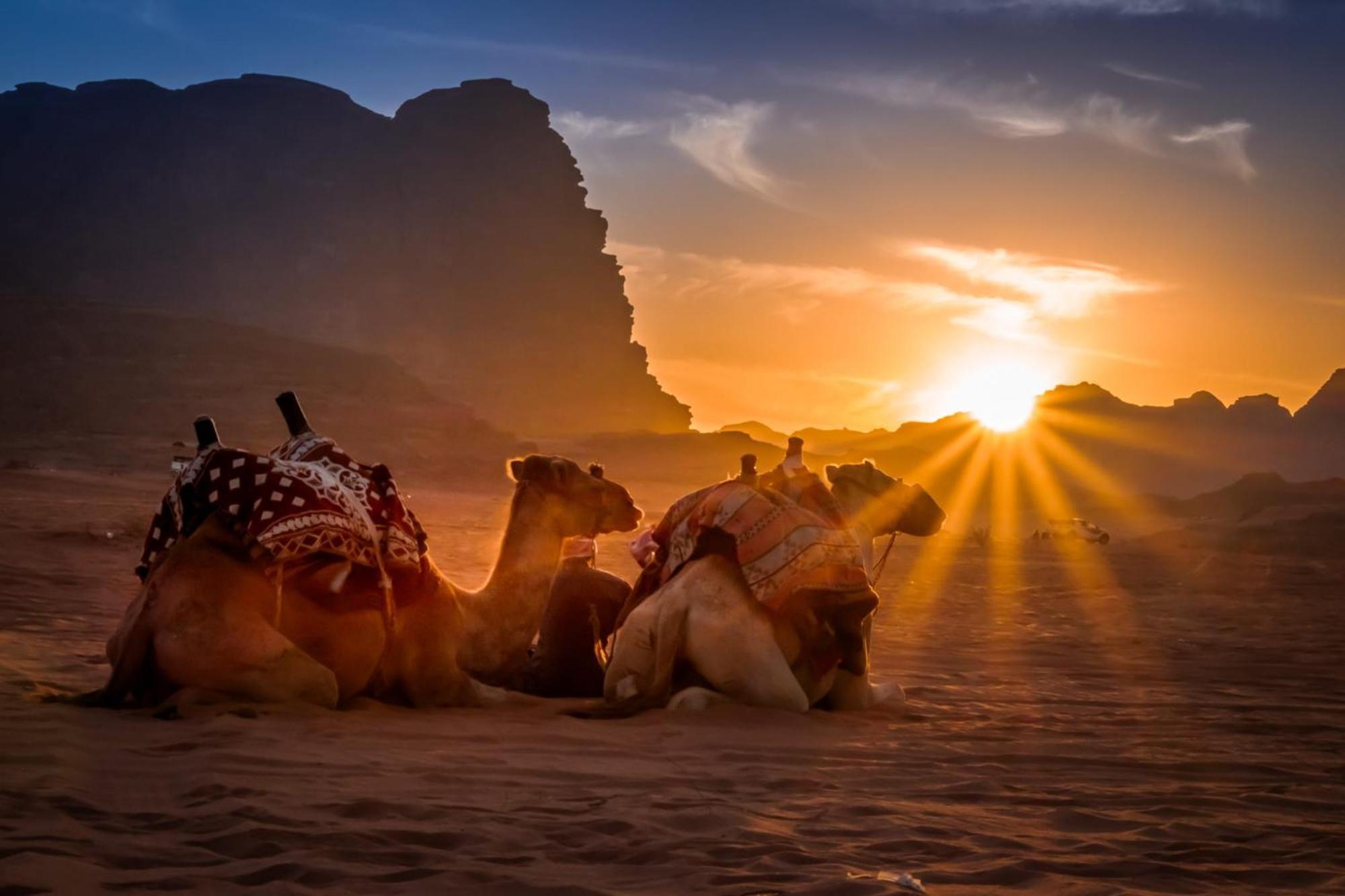 Wadi Rum Mundo Camp Aqaba Luaran gambar