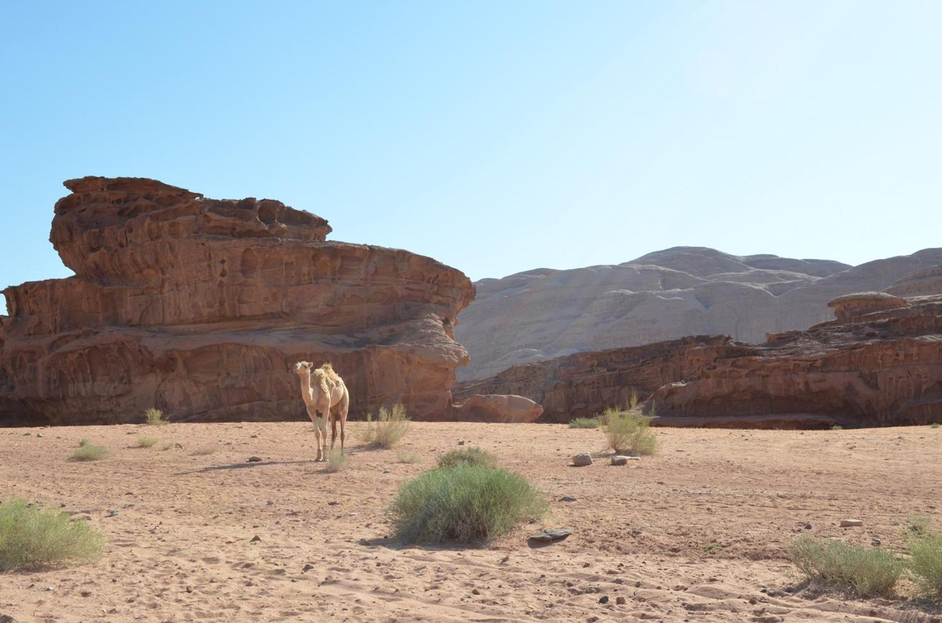 Wadi Rum Mundo Camp Aqaba Luaran gambar